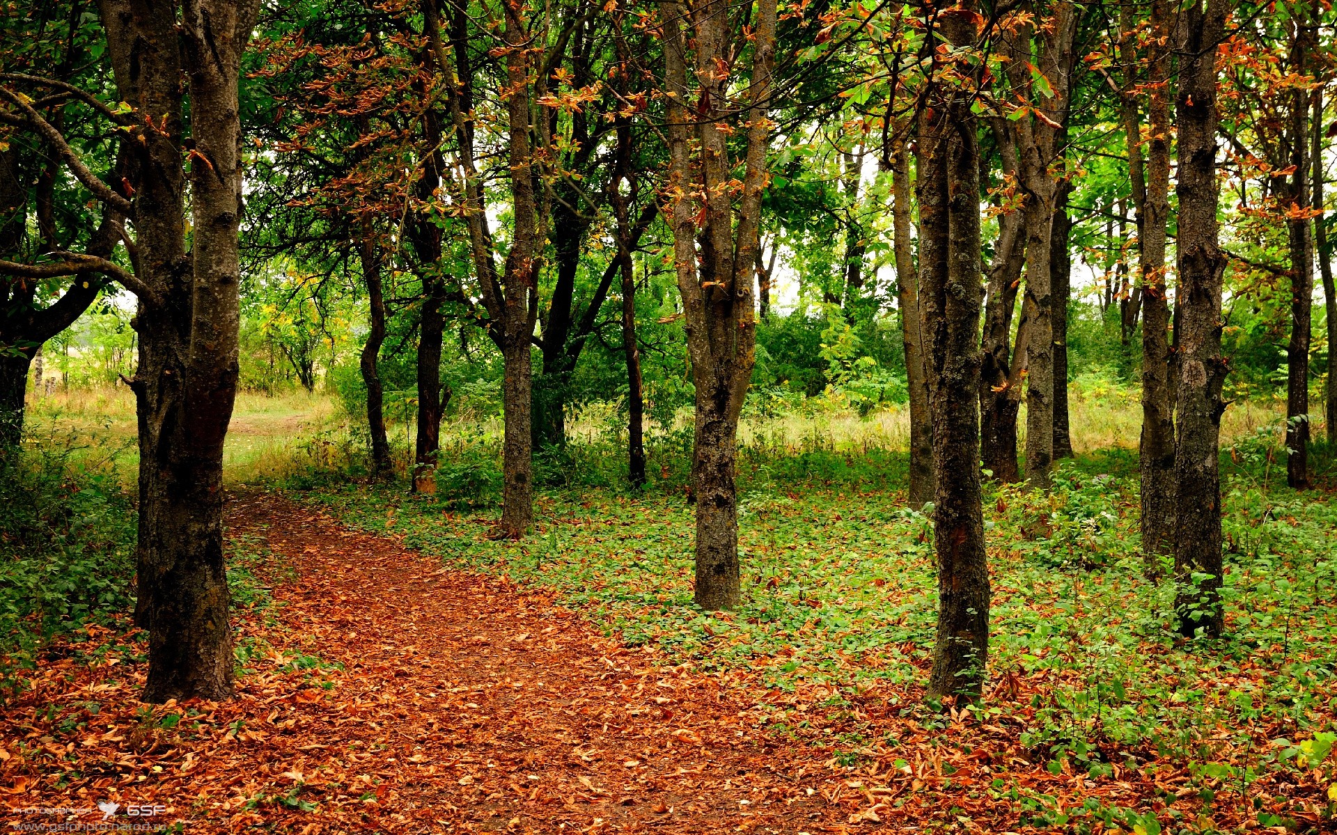 Leyu Sport登录入口-墨西哥男足在巴黎奥运会比赛中表现出色，赢得奖牌，奥运男足墨西哥对巴西比分预测