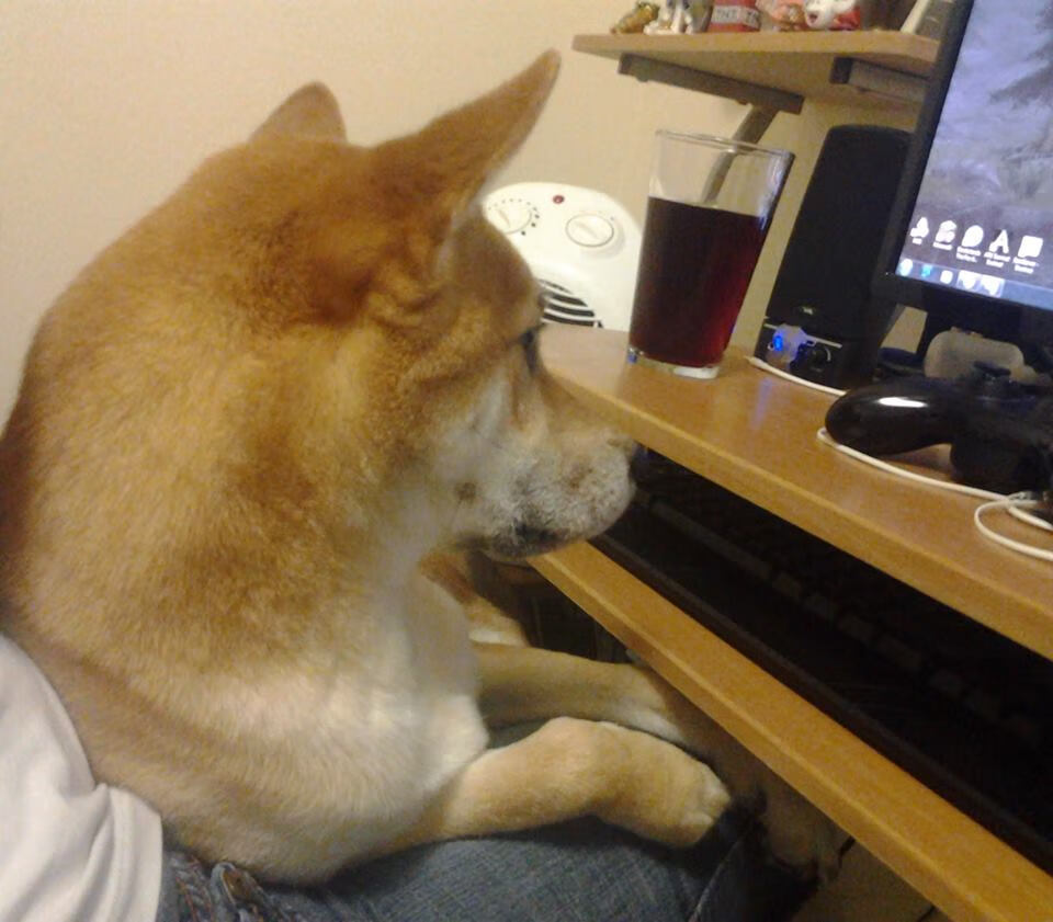 leyu乐鱼在线登录入口-未来联盟：虚拟场景与直播互动开辟新蓝海，未来lol