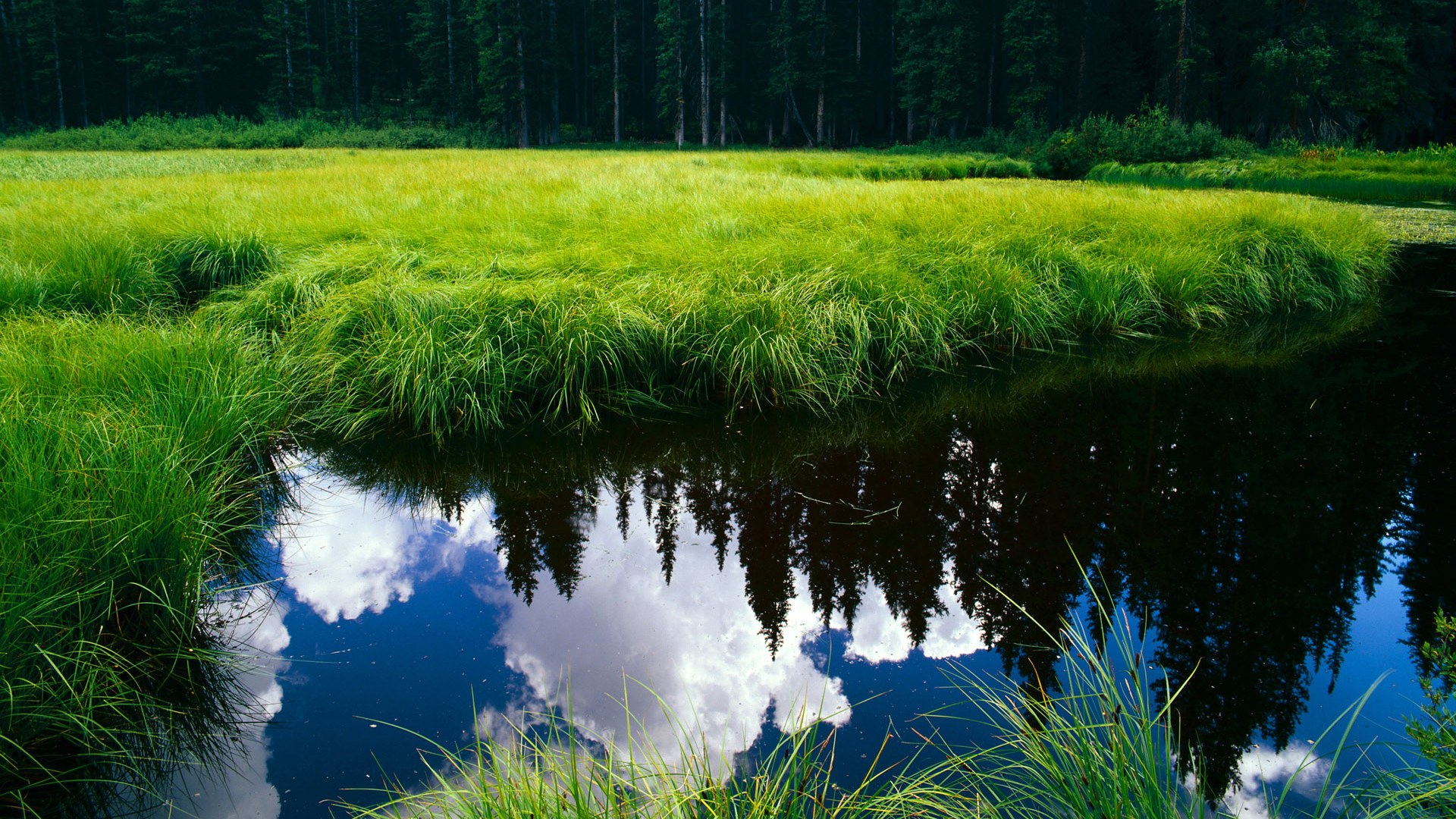 乐鱼体育登录-亚洲杯赛事战况激烈，胜负扑朔迷离，亚洲杯比赛结果迎98db in