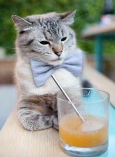 富勒姆主场遇曼城，球队实力不可小觑，富勒姆与曼联