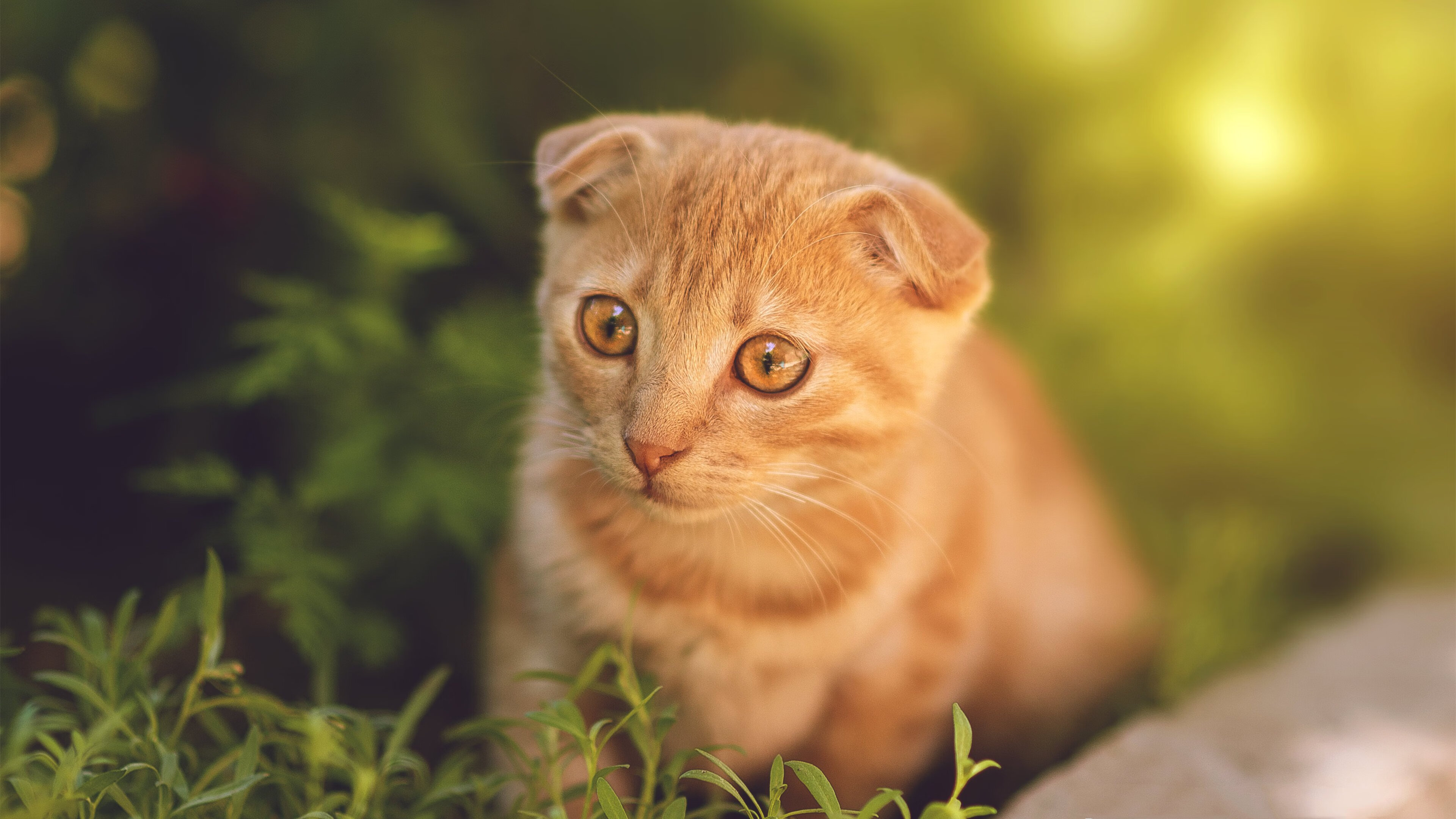 宁波队主场顶住压力力压对手,成功获胜,宁波球赛