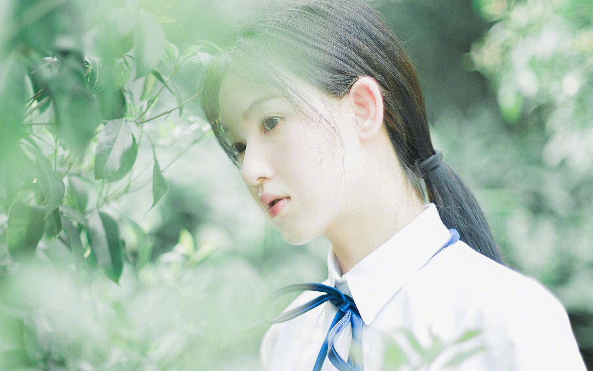 乐鱼电竞在线平台登录入口-斯洛文尼亚遭遇捷克逆转，小组命运堪忧，斯洛文尼亚介绍