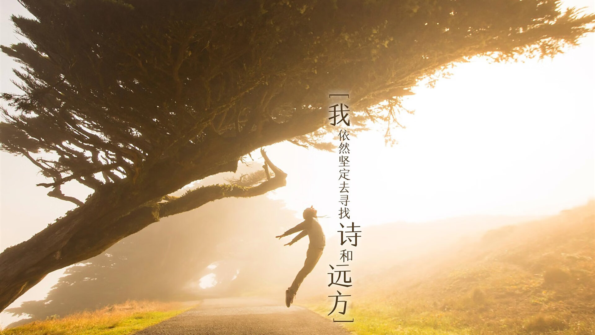 LEYU SPORTS中国官方网站-湖人团队协作完美主场连胜，湖人结束连败疯狂庆祝