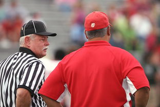 leyu乐鱼官网登录入口-意甲裁判语义分析辅助判罚准确性的应用探讨，意甲 裁判