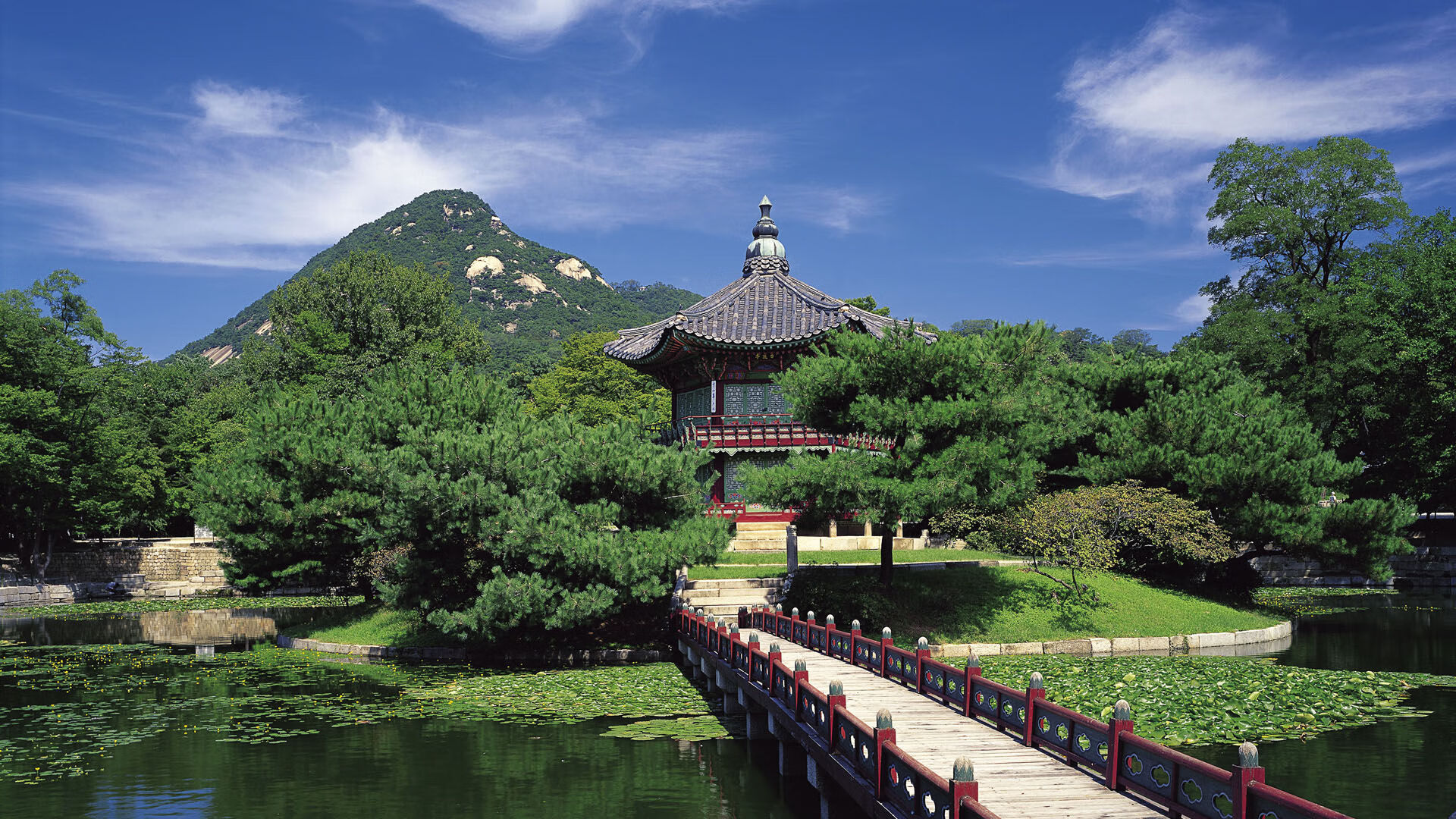 中国男篮冲击奥运资格迎来关键一战，中国男篮2胜3负无缘奥运会