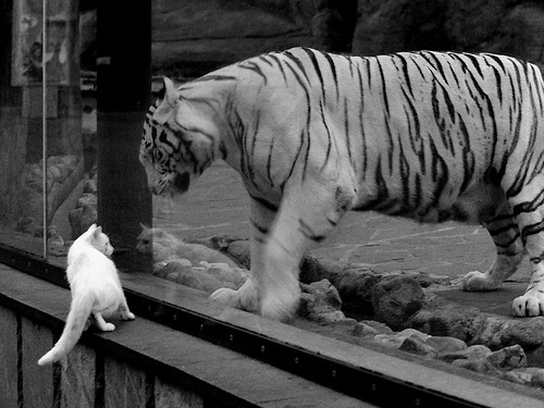 体育新闻中心构建智慧体育场馆互动内容平台，2020智慧体育场馆高峰论坛