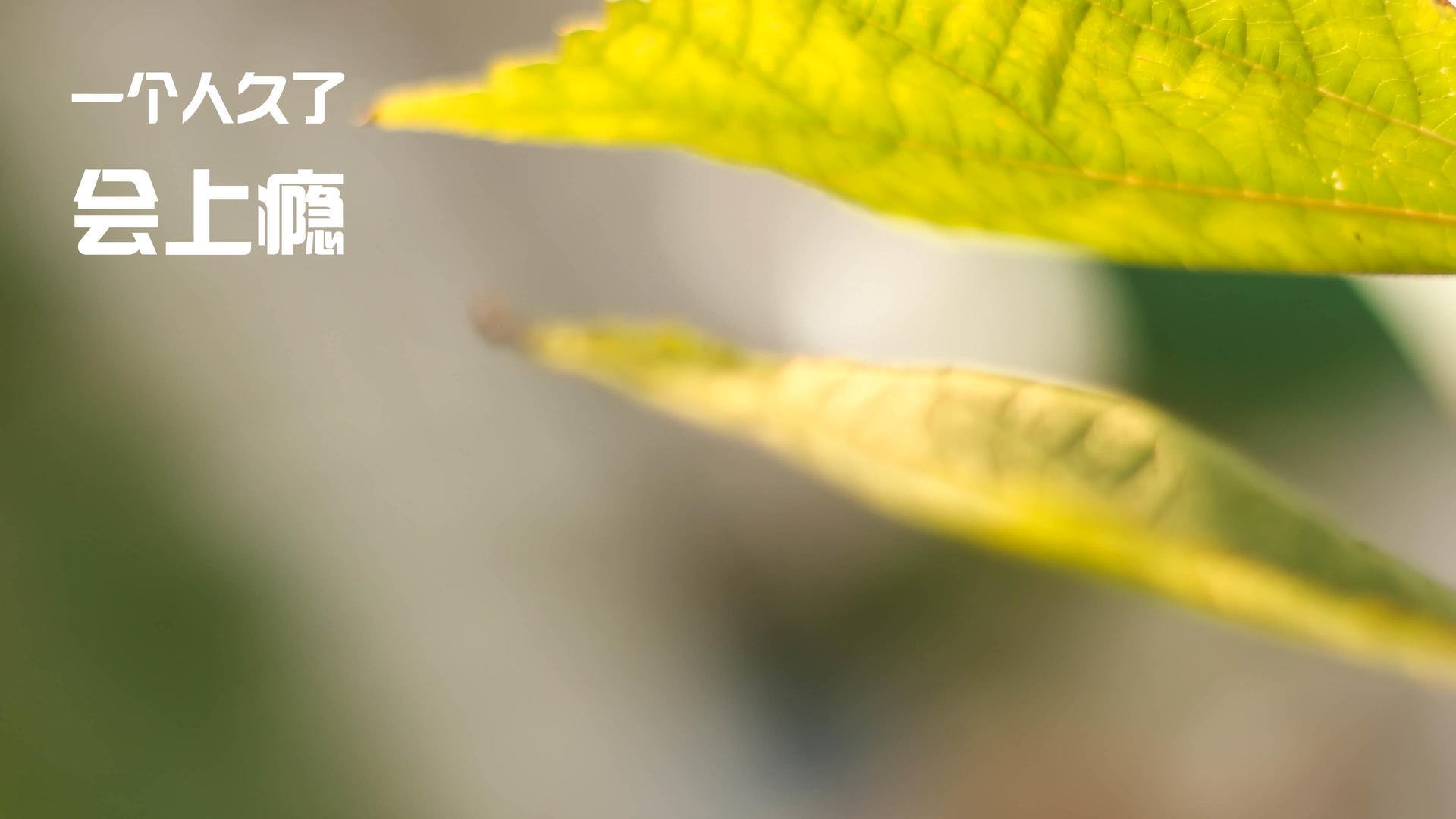 体育新闻中心构建智慧体育场馆互动内容平台，2020智慧体育场馆高峰论坛