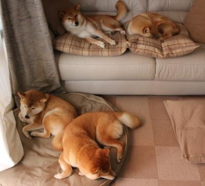 乐鱼电竞在线平台-CBA常规赛收官广东稳居榜首，cba广东常规赛冠军