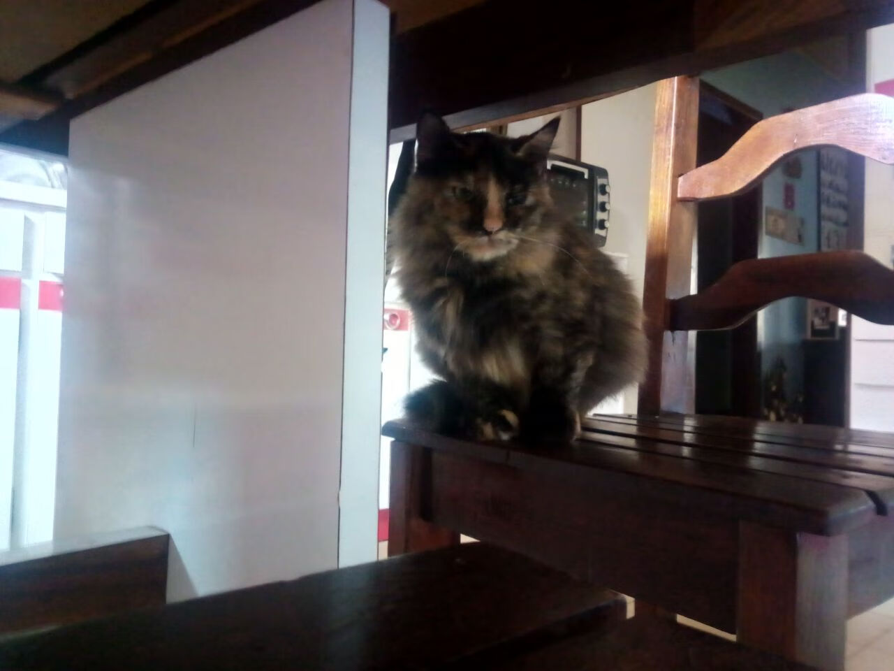 中国足球国家队调整训练内容应对高强度对抗,中国足球队训练视频