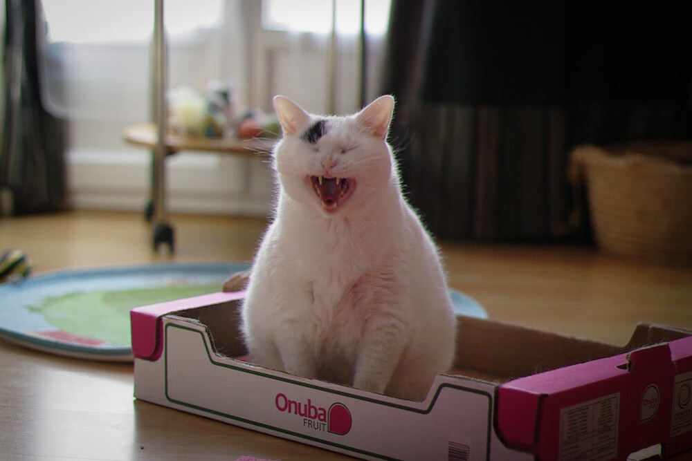 乐鱼电竞在线平台-体育课外俱乐部助力学生多元发展，开展体育俱乐部的好处