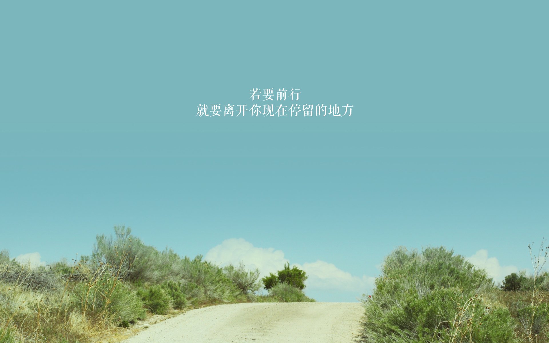 南非橄榄球队挑战世界强队,未来发展空间广阔,南非橄榄球队服