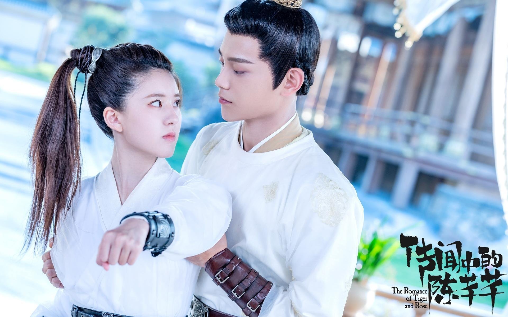 南非橄榄球队挑战世界强队,未来发展空间广阔,南非橄榄球队服