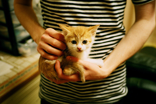 勇士新秀完成签约家人现场见证激动落泪，2020nba勇士新秀