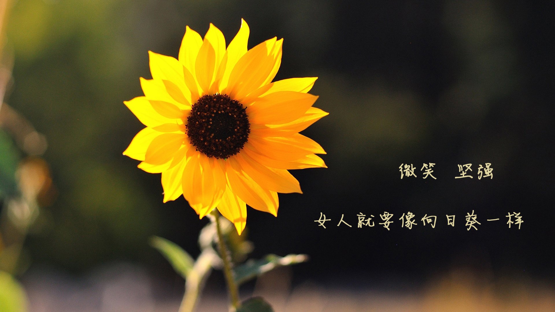 国足主帅试验新阵容效果不俗,国足对手主帅辞职