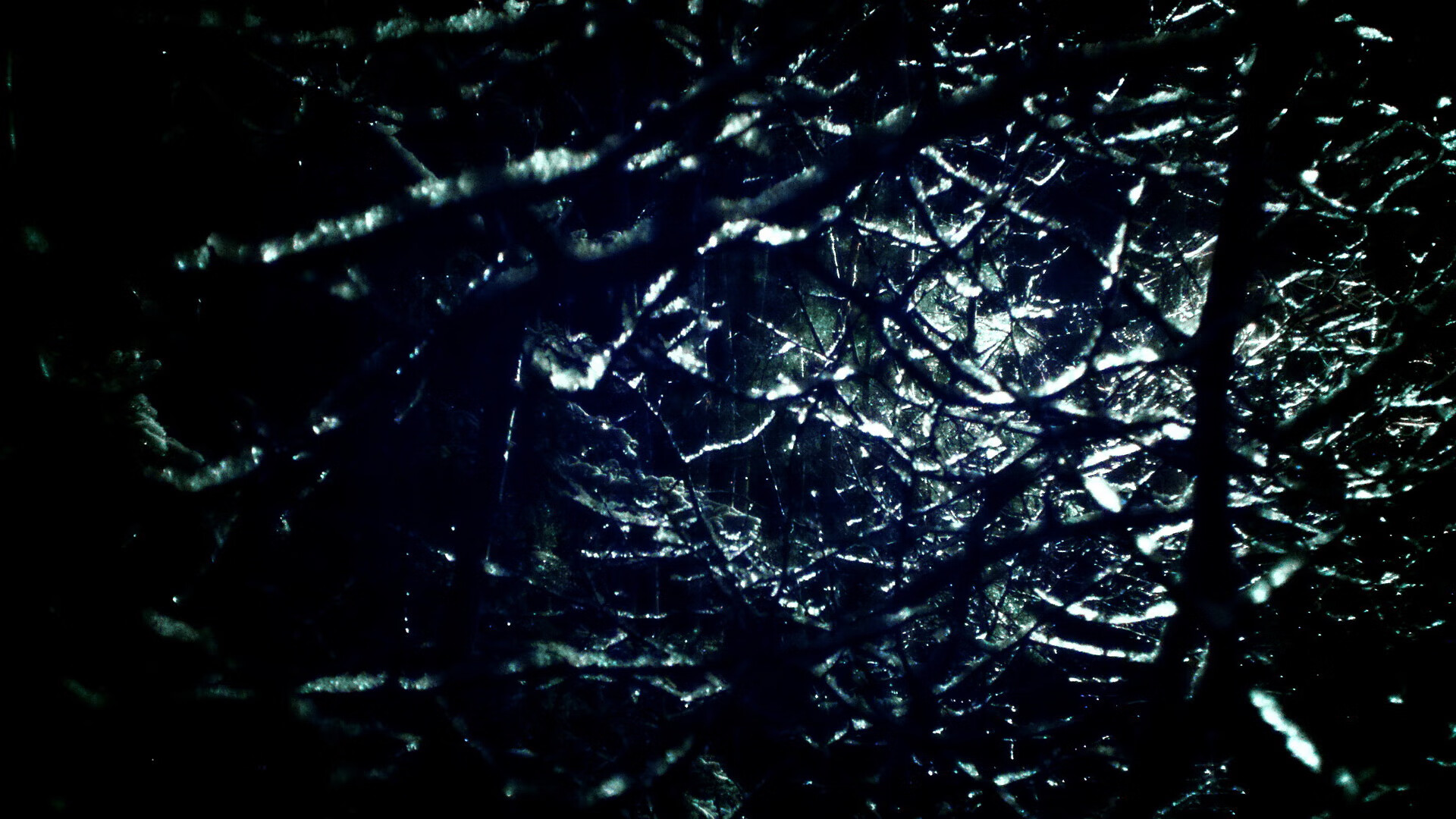 leyu乐鱼体育综合-英超青训营的国际合作优势，英超青训最好的球队