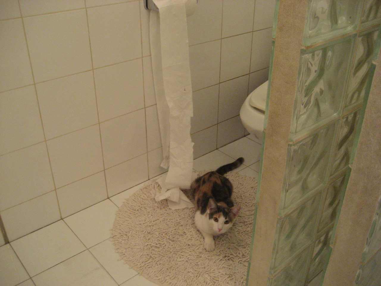 詹姆斯封盖瞬间引爆全场欢呼，詹姆斯封盖集锦