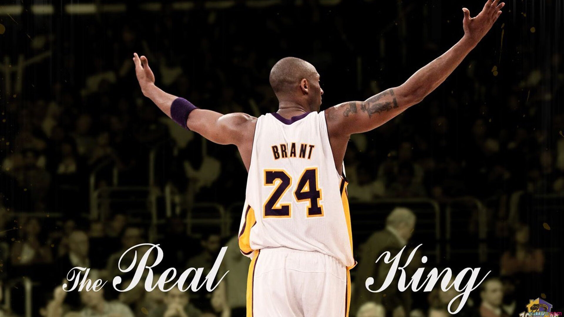 乐鱼体育平台-_全民运动日：开启健康生活新篇章_，全民健康运动活动方案